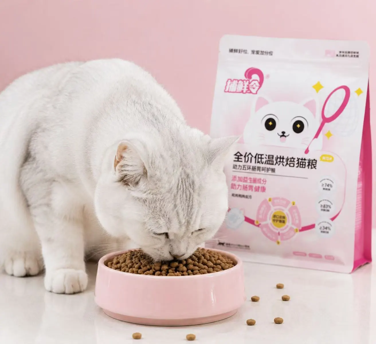 猫咪吃粮