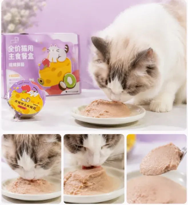 猫咪食用奶酪餐杯
